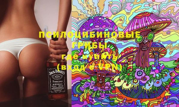 2c-b Лиски